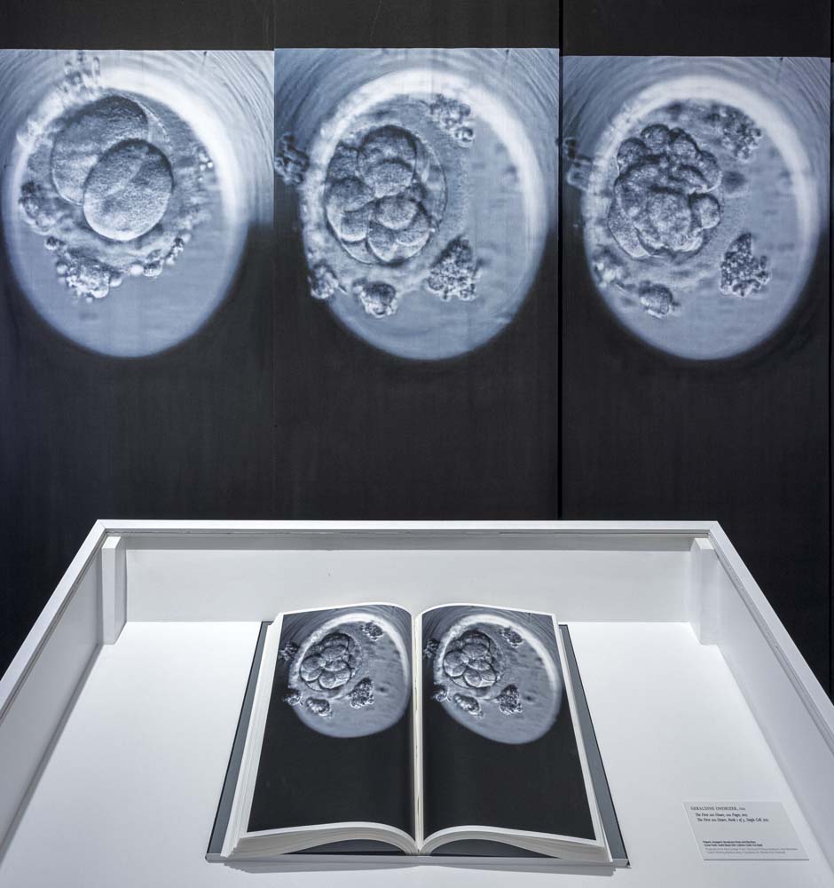 The First 100 Hours image